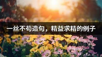 精益求精造句优美_精益求精造句优美短句