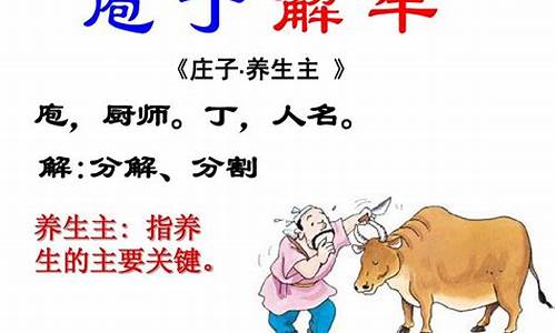 成语庖丁解牛比喻反复实践掌握了什么_成语