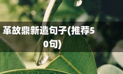 革旧鼎新造句_革故鼎新造句子