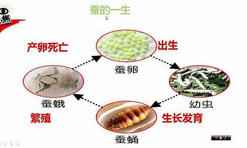 行雷布阵施大雨猜生肖_行雷布阵的动物打一生肖是什么寓意