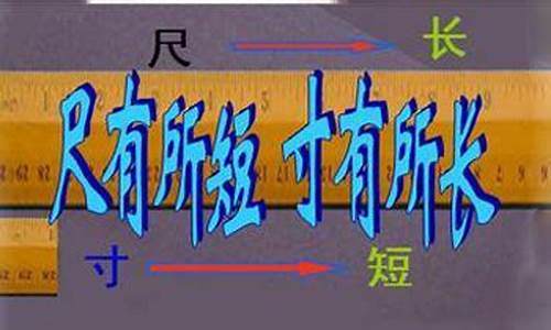 寸有所长_寸有所长尺有所短作文800字